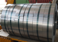 Various Size Shaped Stainless Steel Strip Coil With Wooden Pallet